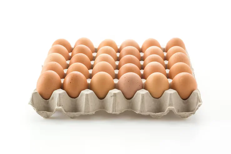Wholesale Egg Tray